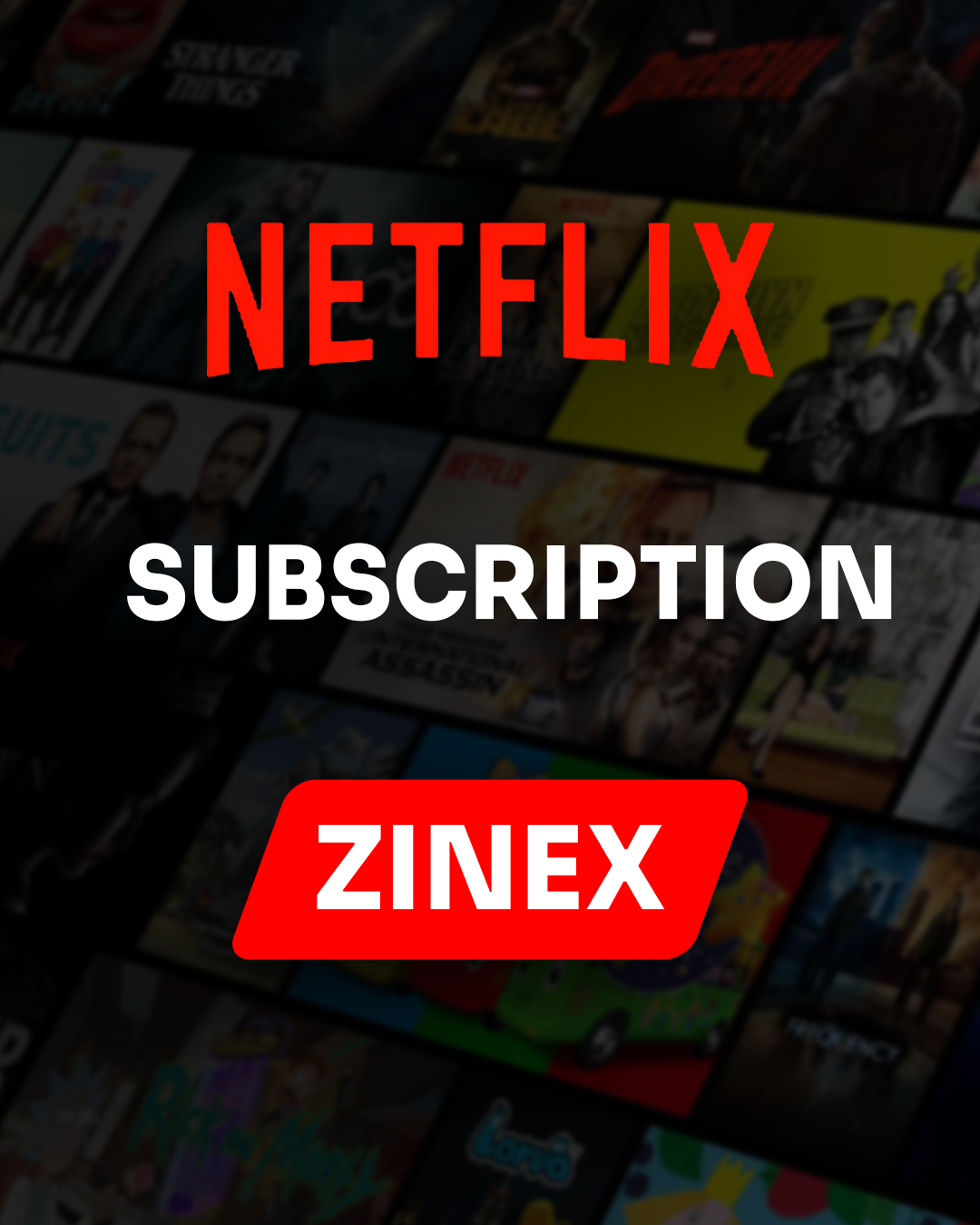 Netflix Premium 4K (India) - Password Changeable